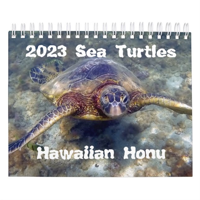 Calendário 2023 das Tartarugas do Mar Verde Honu H (Capa)