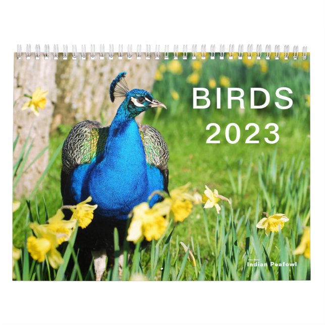 Calendário 2023 de várias aves (Capa)