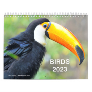 Calendário 2023 de várias aves