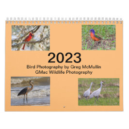 Calendário 2023 do Texas Bird