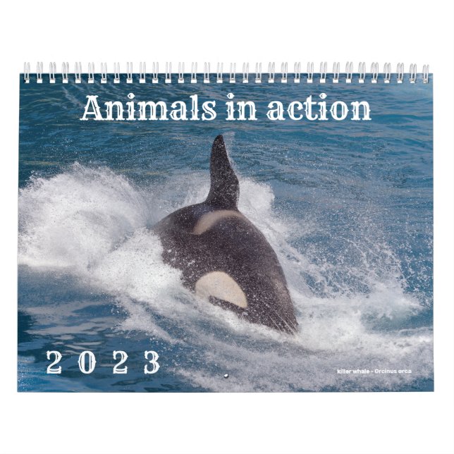 Calendário 2023 dos animais em ação (Capa)