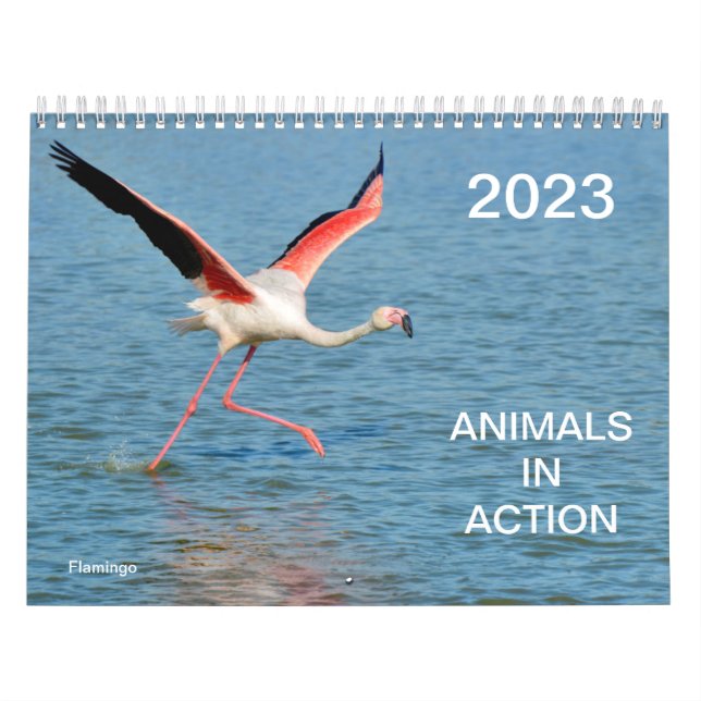 Calendário 2023 dos animais em ação (Capa)