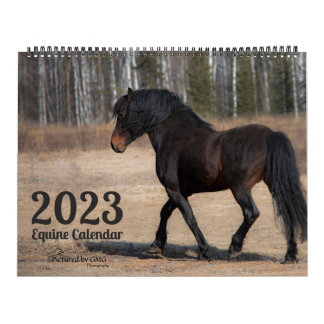 Calendário 2023 Equine Photo Calendar