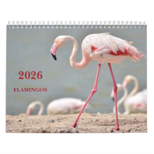 Calendário 2023 flamingos