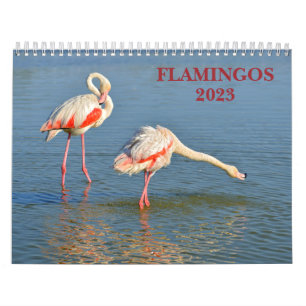 Calendário 2023 Flamingos