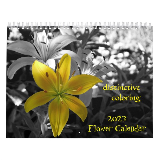 Calendário 2023 Mais Lento (Capa)