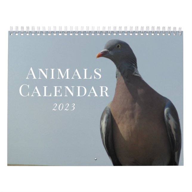 Calendário 2023 Natureza Animal (Capa)