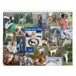 Calendário 2023 Ponteiros do Boot Calendar PointerRescue