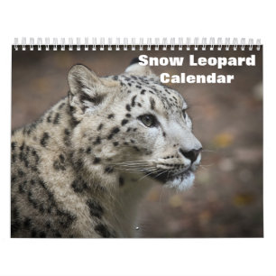 Calendário 2023 sobre leopardo-da-neve