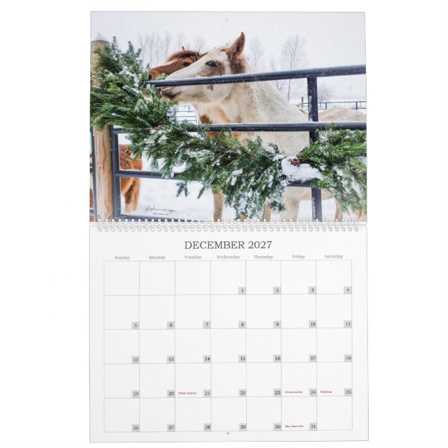 Calendário 2023 - Um ano do Mustang em Michigan (Dez 2027)