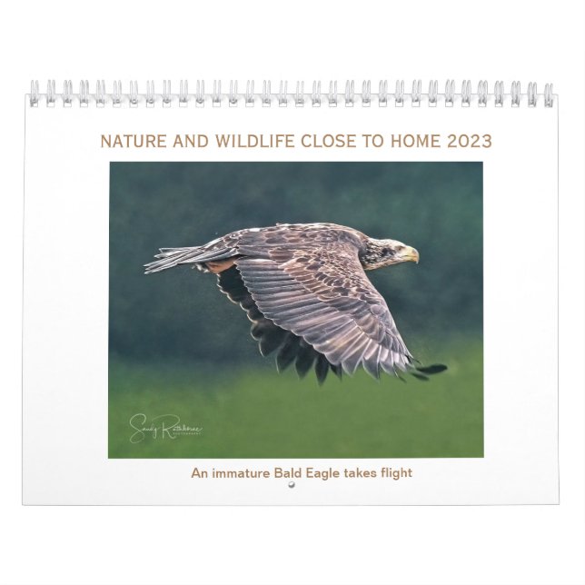 Calendário 2023 vida selvagem e natureza (Capa)