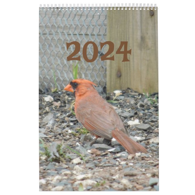 Calendário 2024 Aves de Quintal (Capa)