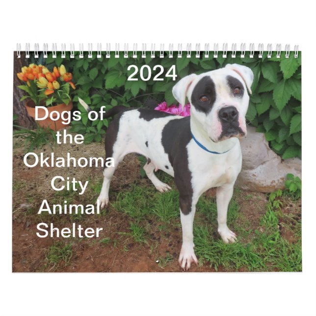 Calendário 2024 Cães do Abrigo Animal da Cidade de Oklahoma (Capa)