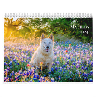 Calendário 2024 de Matilda