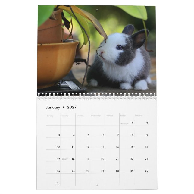 Calendário 2024 dos Coelhos Coelhinhos Doce (Jan 2027)