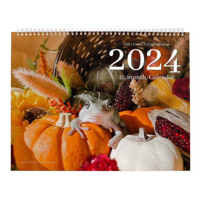 Calendário 2024 dos Critérios Exóticos de Tay (Capa)