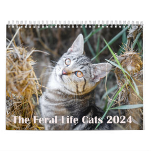 Calendário 2024 Feral Life 2024 Lindos Gatos Naturais
