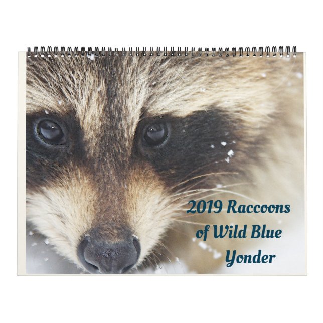 Calendário 2024 Raccoons of Wild Blue Yonder Wildlife Rescue (Capa)