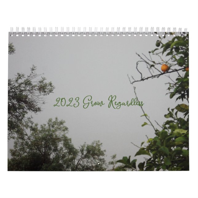 CALENDÁRIO 2024 The Grow Regardless  (Capa)