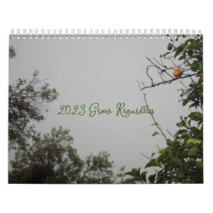 CALENDÁRIO 2024 The Grow Regardless 