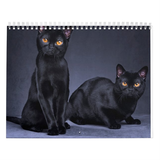 CALENDÁRIO 2025 (Capa)