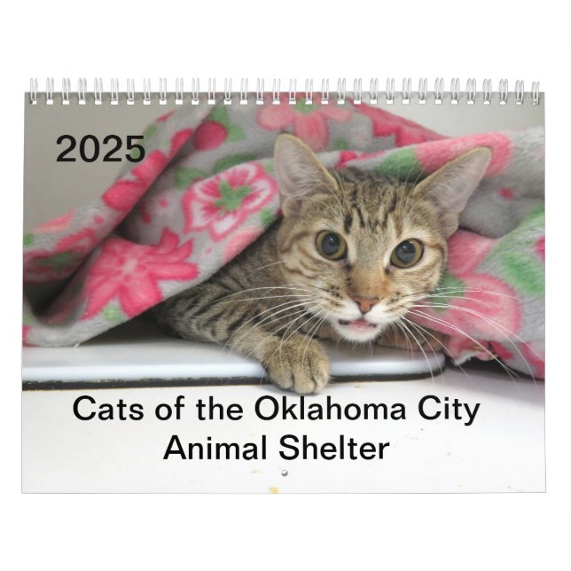 Calendário 2025 Cats of the Oklahoma City Animal Shelter (Capa)