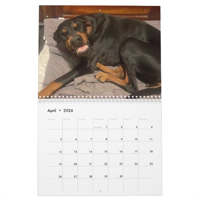 Calendário 2025 DT (Abr 2026)