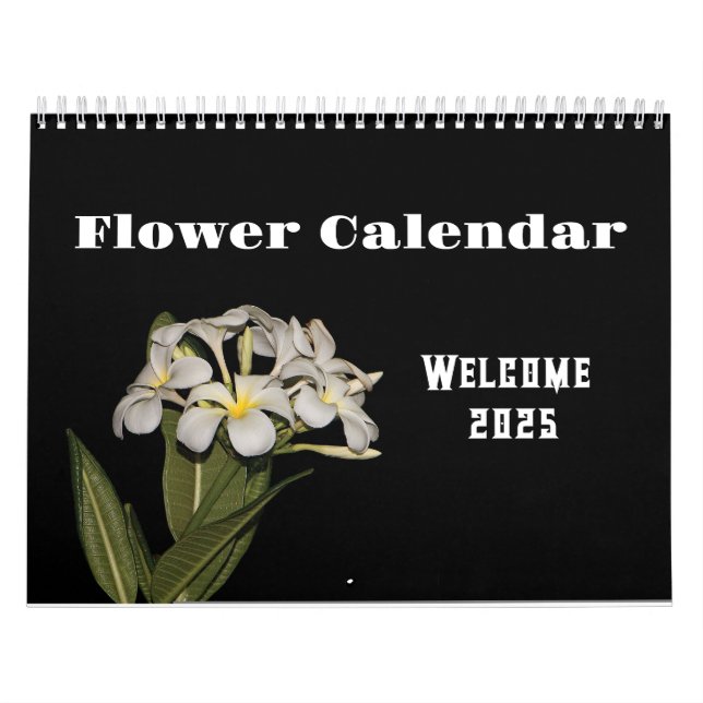 Calendário 2025 flor e noite (Capa)