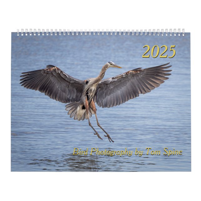 Calendário 2025 - Fotografias de pássaros por Tom  (Capa)