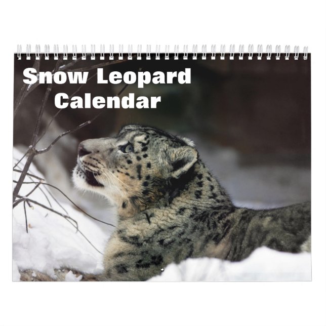 Calendário 2025 Leopardo-da-neve (Capa)