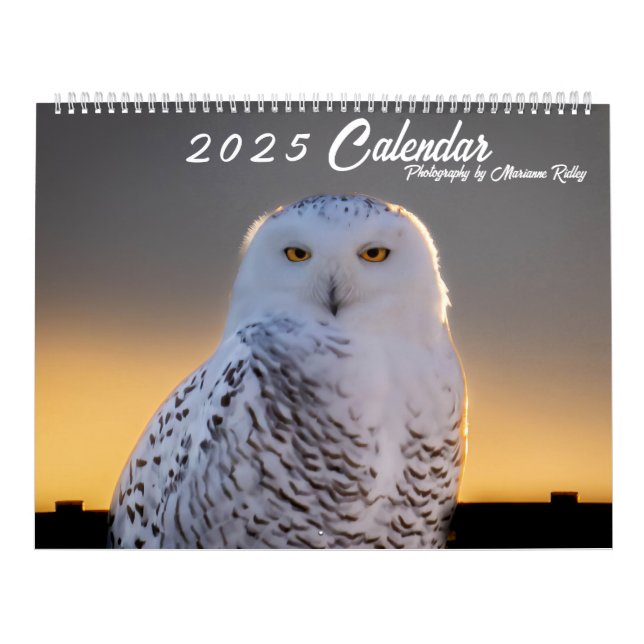 Calendário 2025 sobre a vida selvagem e paisagem (Capa)