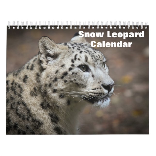 Calendário 2025 sobre leopardo-das-neve (Capa)