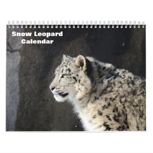 Calendário 2025 sobre leopardo-das-neve