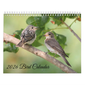 Calendário 2026 Bird Calendar