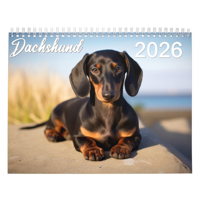 Calendário 2026 Dachshund (Capa)