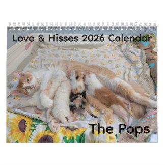 Calendário 2026 de Amor e Sibilos - os Pops