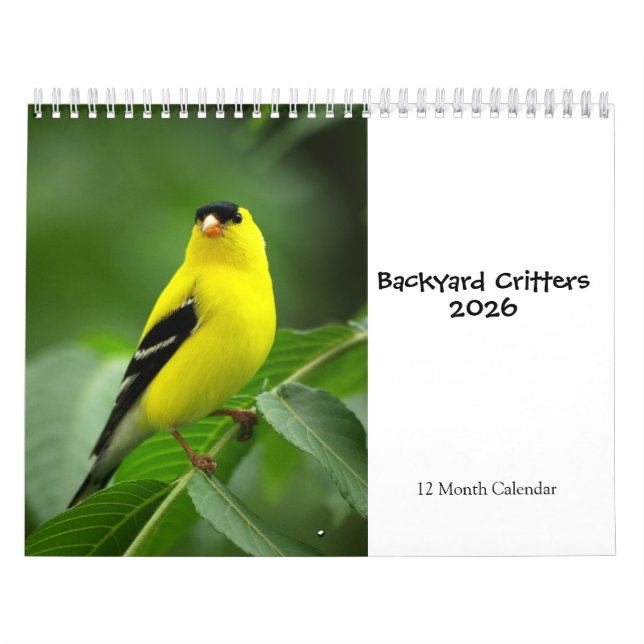 Calendário 2026 dos Critérios do Quintal (Capa)