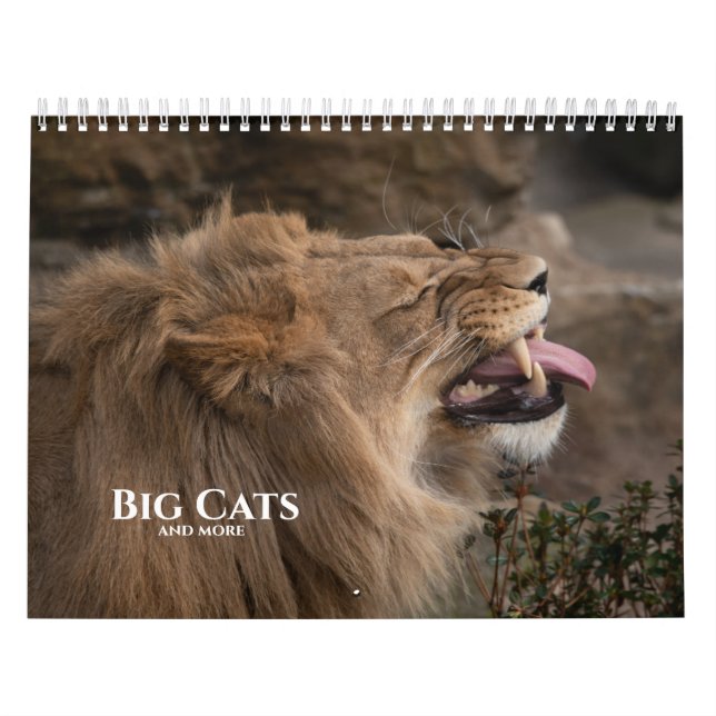 Calendário 2026 Grandes Gatos E Mais (Capa)