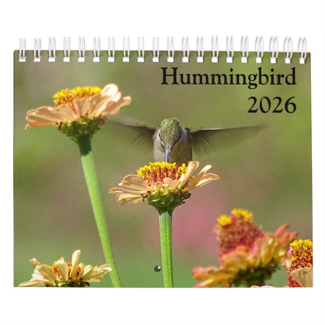 Calendário 2026 Hummingbird Calendar (Capa)