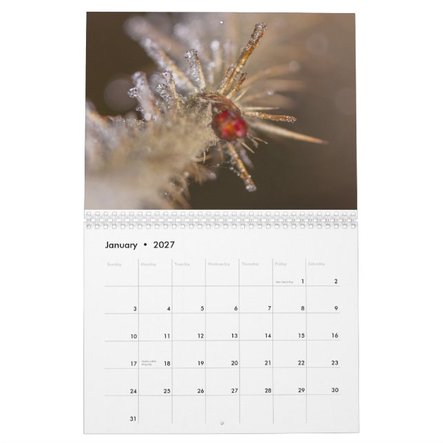 Calendário 2026 inspirado na Natureza (Jan 2027)