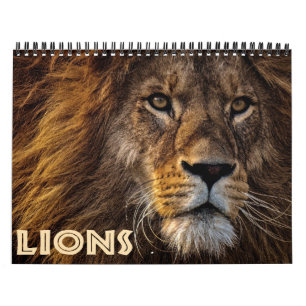 Calendário 2026 Leões Selvagens