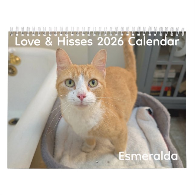 Calendário 2026 Love & Hisses Calendar - Esmeralda (Capa)
