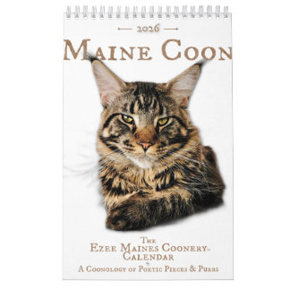 Calendário 2026 Maine Coon Cat Calendar