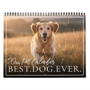 Calendário 2026 Melhor Cão de Sempre Crie Sua Própria Foto do