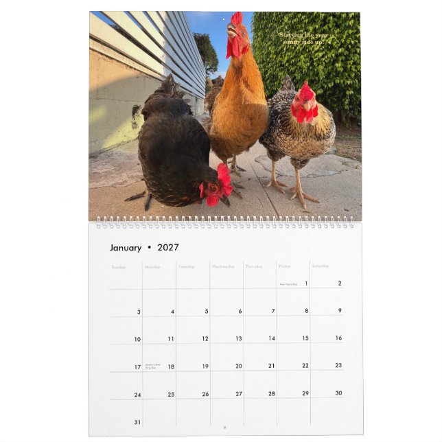 Calendário 2026 Neighborhood Chicken Calendar - Large (Jan 2027)