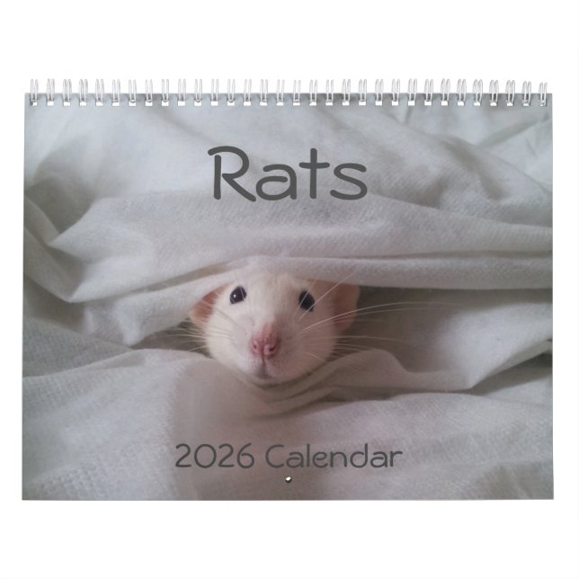 Calendário 2026 Pet Rat (Capa)