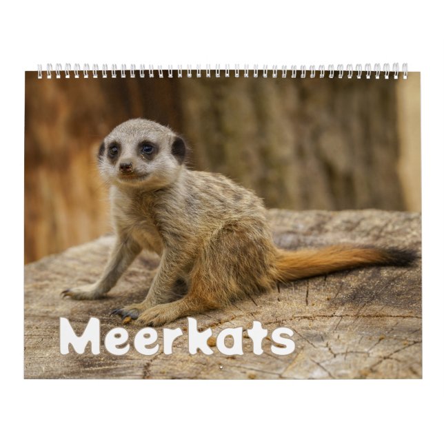 Calendário 2026 por ano com Meerkats (Capa)