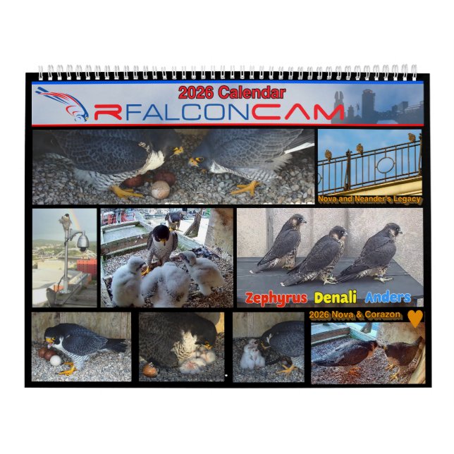 Calendário 2026 Rfalconcam Calendar (Capa)