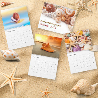 Calendário 2026 Sea Shell | Coastal Shell Photography