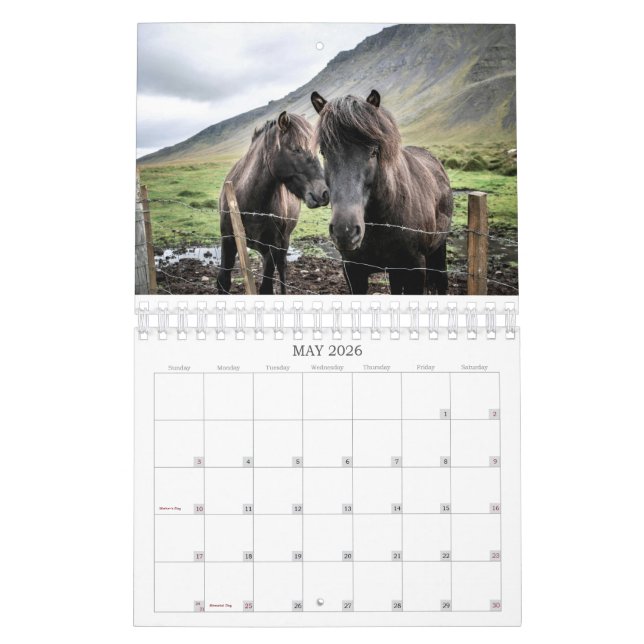 CALENDÁRIO 2026 SIMPLE HORSES CALENDAR (Maio 2026)